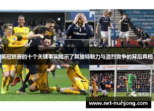英冠联赛的十个关键事实揭示了其独特魅力与激烈竞争的背后真相 英冠联赛的十个关键事实揭示了其独特魅力与激烈竞争的背后真相