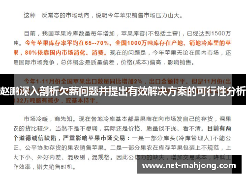 赵鹏深入剖析欠薪问题并提出有效解决方案的可行性分析 赵鹏深入剖析欠薪问题并提出有效解决方案的可行性分析